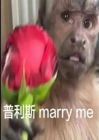 藏文潮流男士短袖